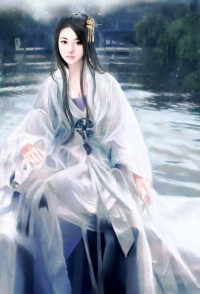 極品女婿